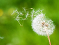 Platzhalter Bild